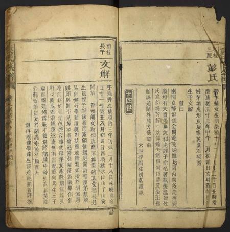 湖南袁氏族谱-袁氏族谱[残卷].pdf电子版插图2