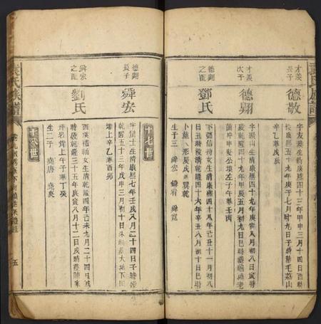 湖南袁氏族谱-袁氏族谱[残卷].pdf电子版插图4