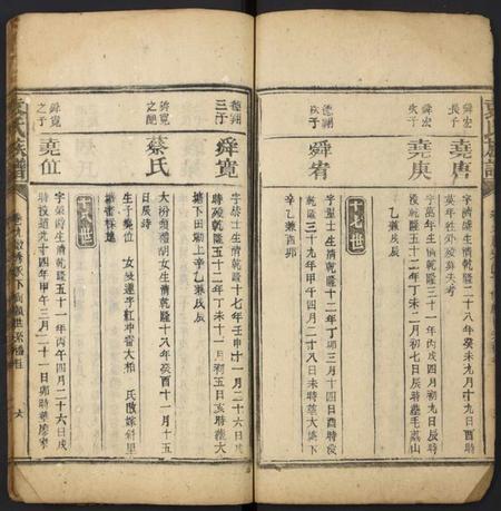 湖南袁氏族谱-袁氏族谱[残卷].pdf电子版插图5