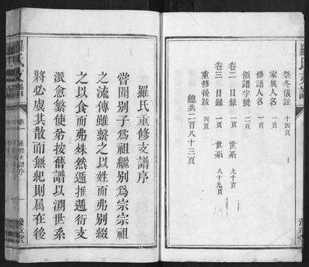 江西罗氏族谱-罗氏支谱[3卷].pdf电子版插图3