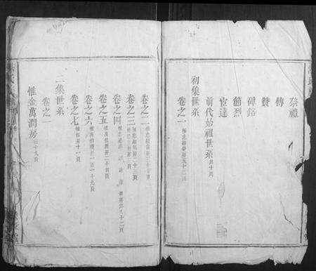 湖南湛氏族谱-湛氏族谱.pdf电子版插图2