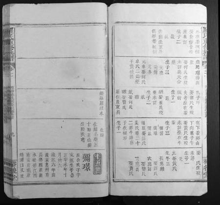 江西罗氏族谱-罗氏重修族谱.pdf电子版插图3