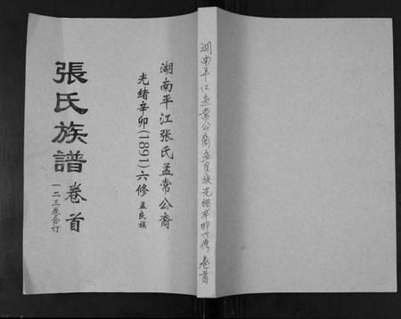 湖南张氏族谱-张氏大同宗谱.pdf电子版插图