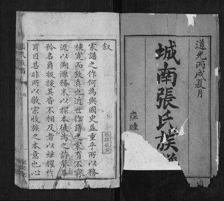 湖南张氏族谱-张氏族谱.pdf电子版插图1