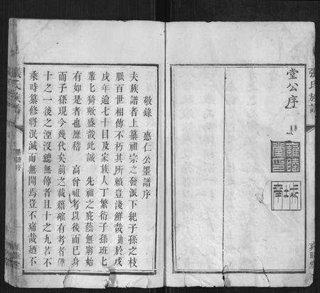 湖南张氏族谱-张氏族谱.pdf电子版插图4