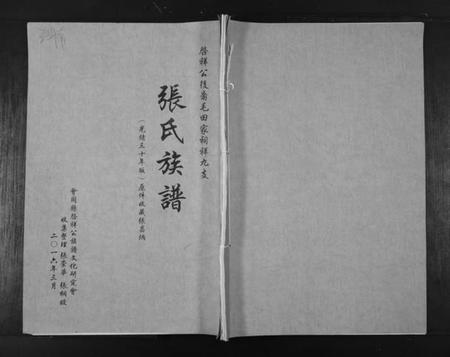 湖南张氏族谱-张氏族谱. 啓祥公后裔毛田家词祥九支.pdf电子版插图