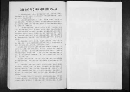 湖南张氏族谱-张氏族谱. 啓祥公后裔高村家词高村支.pdf电子版插图5 湖南张氏族谱-张氏族谱. 啓祥公后裔高村家词高村支.pdf电子版插图5