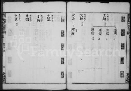 湖北刘氏族谱-刘氏宗谱.pdf电子版插图5