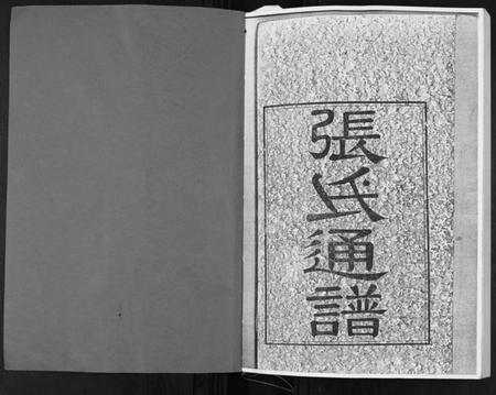 湖南张氏族谱-张氏通谱.pdf电子版插图1