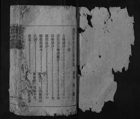 湖南张氏族谱-清河郡张氏五修族谱[上下卷].pdf电子版插图1