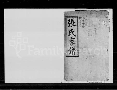 湖南张氏族谱-张氏续修家谱 [8卷,首3卷].pdf电子版插图1