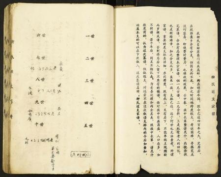 江苏柳氏族谱-柳氏近支家谱.pdf电子版插图2