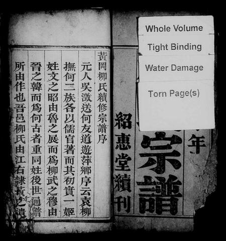 湖北柳氏族谱-柳氏宗谱 [3卷,首1卷].pdf电子版插图2