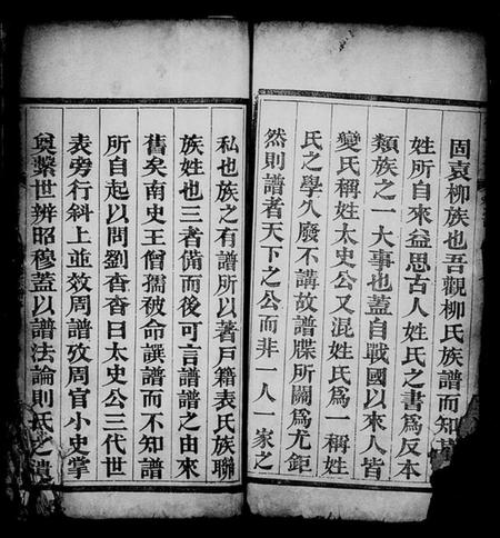 湖北柳氏族谱-柳氏宗谱 [3卷,首1卷].pdf电子版插图3