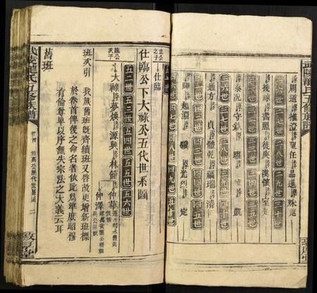 湖北龙氏族谱-武陵龙氏五修族谱.pdf电子版插图3 湖北龙氏族谱-武陵龙氏五修族谱.pdf电子版插图3