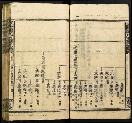 湖北龙氏族谱-武陵龙氏五修族谱.pdf电子版插图5 湖北龙氏族谱-武陵龙氏五修族谱.pdf电子版插图5