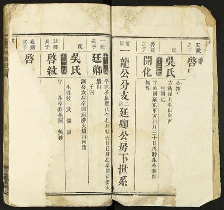中国卢氏族谱-卢氏四修族谱.pdf电子版插图2