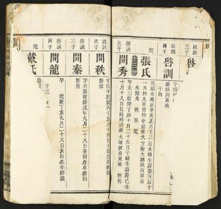 中国卢氏族谱-卢氏四修族谱.pdf电子版插图3