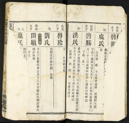 中国卢氏族谱-卢氏四修族谱.pdf电子版插图5