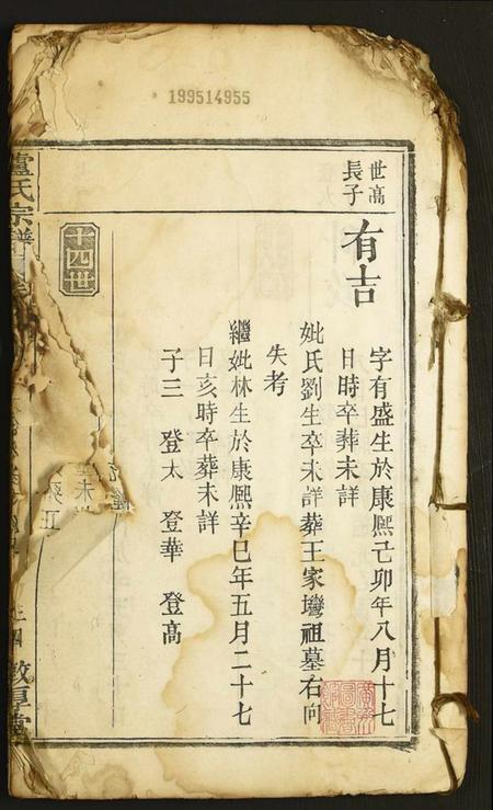 中国卢氏族谱-卢氏宗谱.pdf电子版插图1