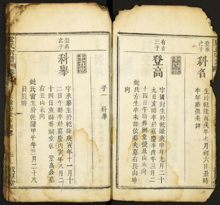 中国卢氏族谱-卢氏宗谱.pdf电子版插图4