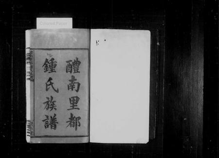 湖南锺氏族谱-醴南里都锺氏族谱 [4卷,含卷首].pdf电子版插图2