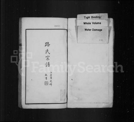 中国路氏族谱-路氏宗谱.pdf电子版插图1
