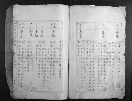 江西邱氏族谱-抚乐上洋邱氏重修草谱.pdf电子版插图5 江西邱氏族谱-抚乐上洋邱氏重修草谱.pdf电子版插图5
