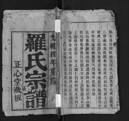 湖北罗氏族谱-罗氏宗谱[10卷首2卷].pdf电子版插图
