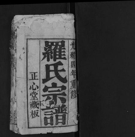 湖北罗氏族谱-罗氏宗谱[10卷首2卷].pdf电子版插图1
