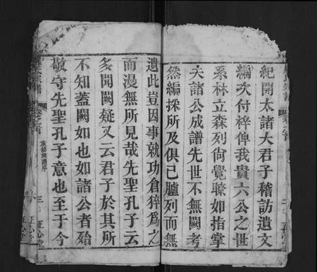 湖北罗氏族谱-罗氏宗谱[10卷首2卷].pdf电子版插图4