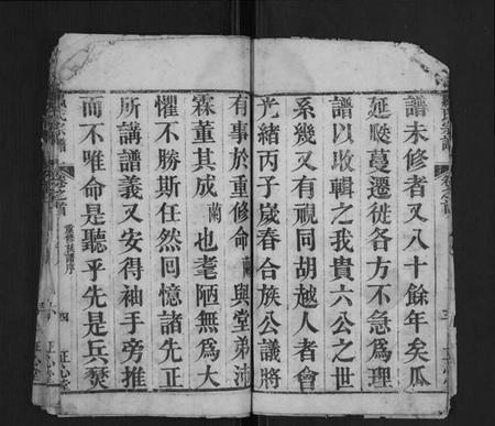 湖北罗氏族谱-罗氏宗谱[10卷首2卷].pdf电子版插图5