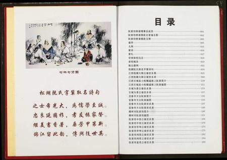 江西阮氏族谱-阮氏宗谱.pdf电子版插图2