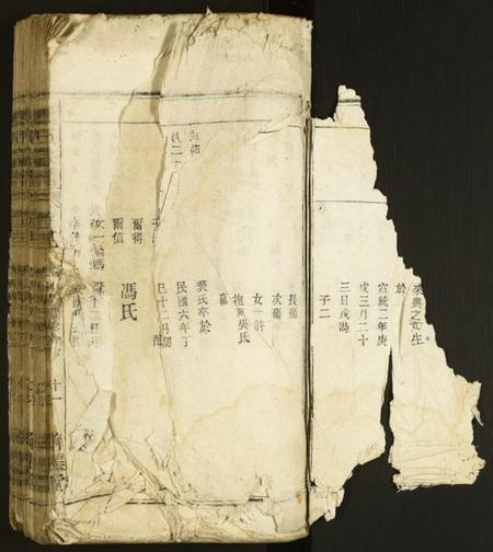 中国马氏族谱-马氏宗谱.pdf电子版插图2