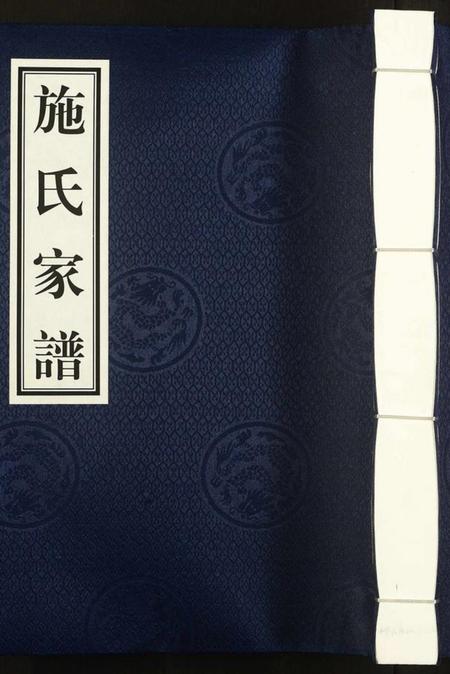 江西施氏族谱-施氏族谱.pdf电子版插图