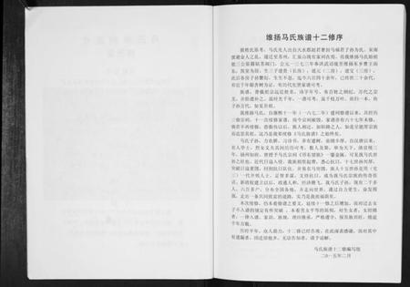 江苏马氏族谱-马氏族谱[不分卷].pdf电子版插图4