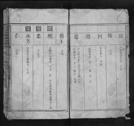 湖南左氏族谱-沧潣左氏城坑支谱[3卷].pdf电子版插图2
