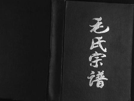 江苏毛氏族谱-毛氏宗谱[上下编].pdf电子版插图