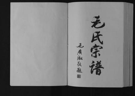 江苏毛氏族谱-毛氏宗谱[上下编].pdf电子版插图1