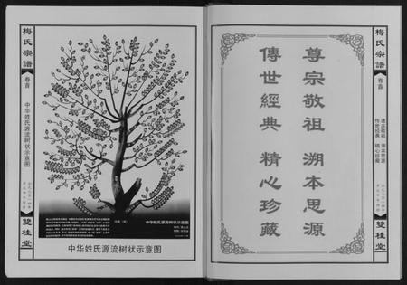 湖北梅氏族谱-梅氏宗谱.pdf电子版插图2