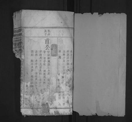 湖北闵氏族谱-闵氏宗谱[残卷].pdf电子版插图1