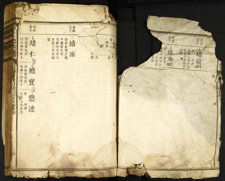 中国甯氏族谱-甯氏宗谱.pdf电子版插图1