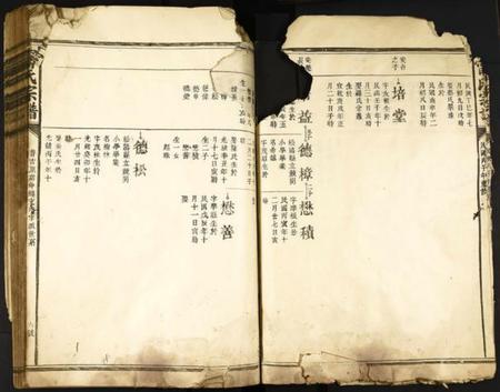 中国甯氏族谱-甯氏宗谱.pdf电子版插图4