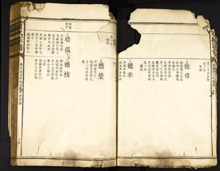 中国甯氏族谱-甯氏宗谱.pdf电子版插图5