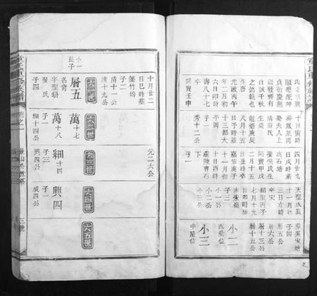 江西童氏族谱-童氏重修族谱.pdf电子版插图3