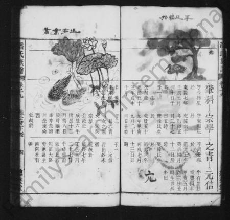中国潘氏族谱-潘氏族谱 [残卷].pdf电子版插图4