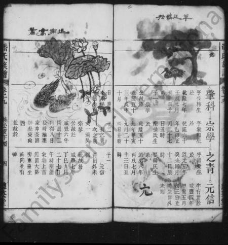 中国潘氏族谱-潘氏族谱 [残卷].pdf电子版插图5