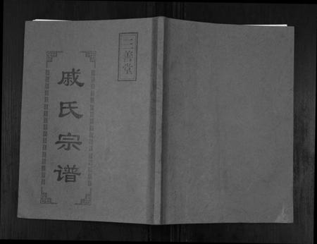 江苏戚氏族谱-戚氏宗谱[不分卷].pdf电子版插图