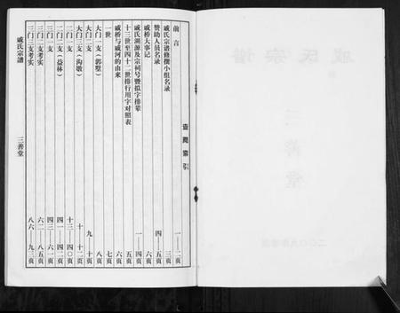 江苏戚氏族谱-戚氏宗谱[不分卷].pdf电子版插图2