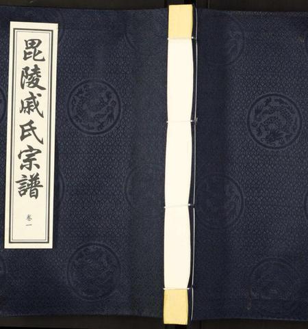 江苏戚氏族谱-毗陵·戚氏宗谱.pdf电子版插图